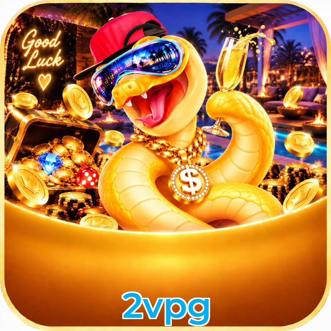 2vpg VIP Program